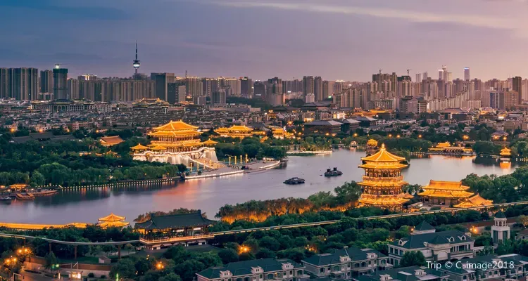 AI's Transformative Impact on Global Digital Trade: Experts Convene in Xi'an